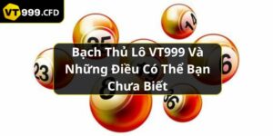 https://vt999.cfd/wp-content/uploads/2024/11/bach-thu-lo.jpg