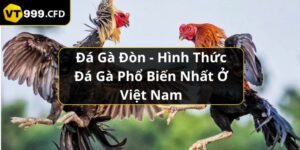 https://vt999.cfd/wp-content/uploads/2024/11/da-ga-don-hinh-thuc-da-ga-pho-bien-nha-o-viet-nam.jpg